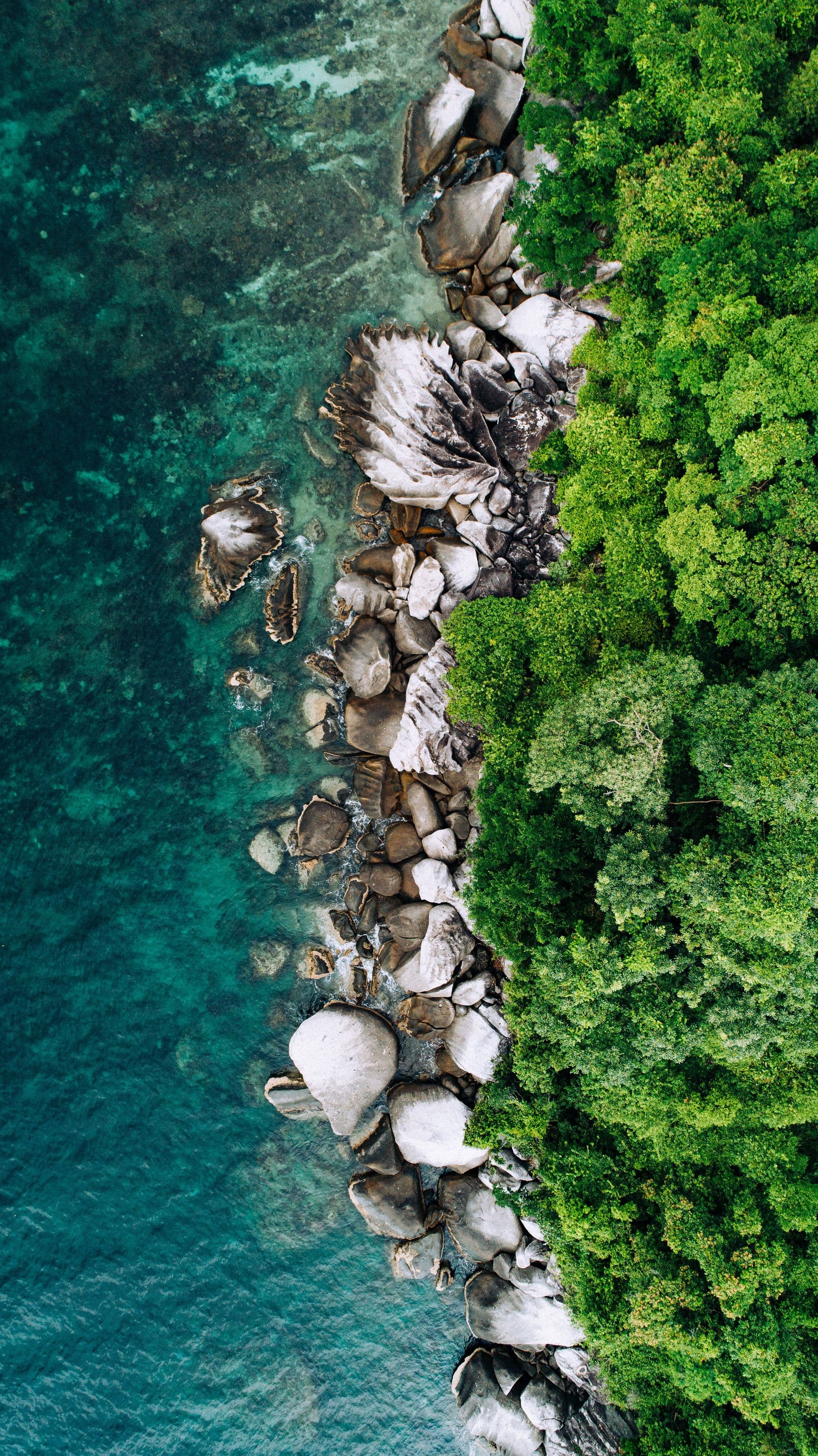Lakefront Estate — aerial cinematography by FLY5
